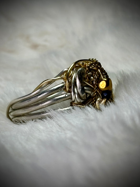 Silver ring: the golden privateer