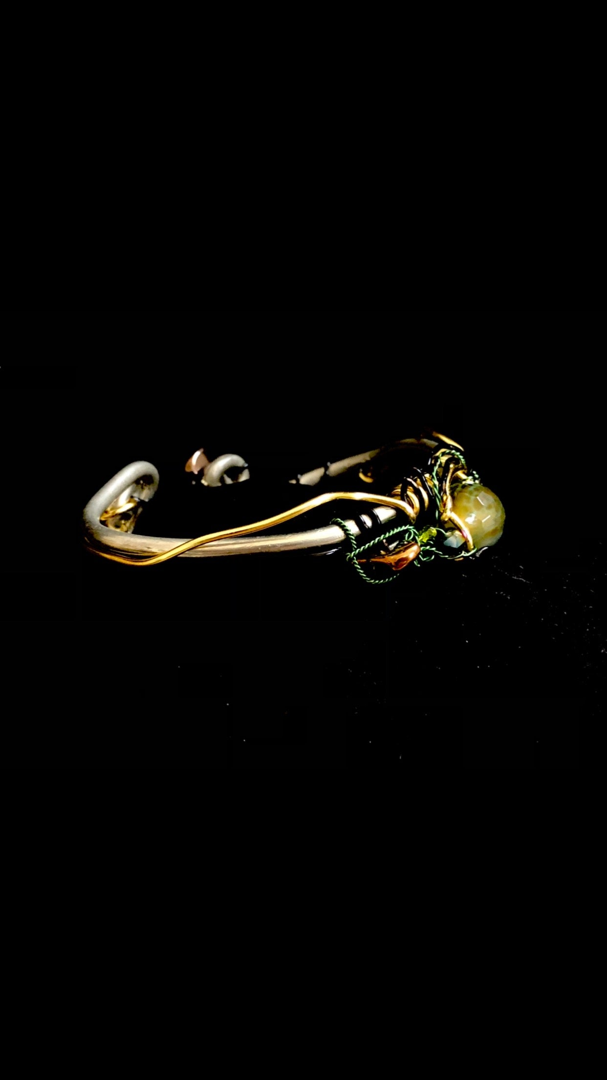The Snake Charmer