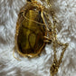 Dragon of the Golden Watch