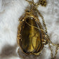 Dragon of the Golden Watch