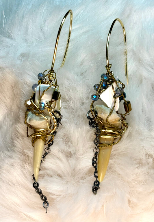 Charms of the sea ￼